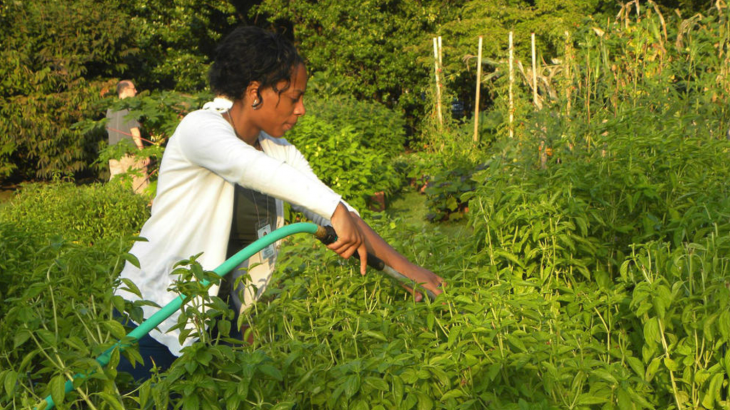 Riana water plants photo.PNG